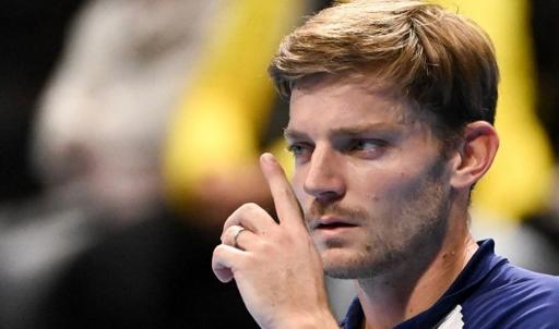 Tennis : Goffin renoue avec la victoire 