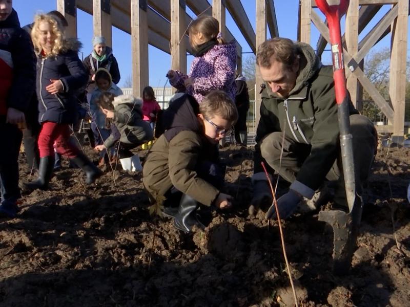 300 arbres pour une mini-forêt à Xhendremael