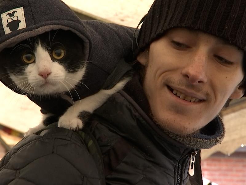 Noël des animaux au Resto du coeur de Liège