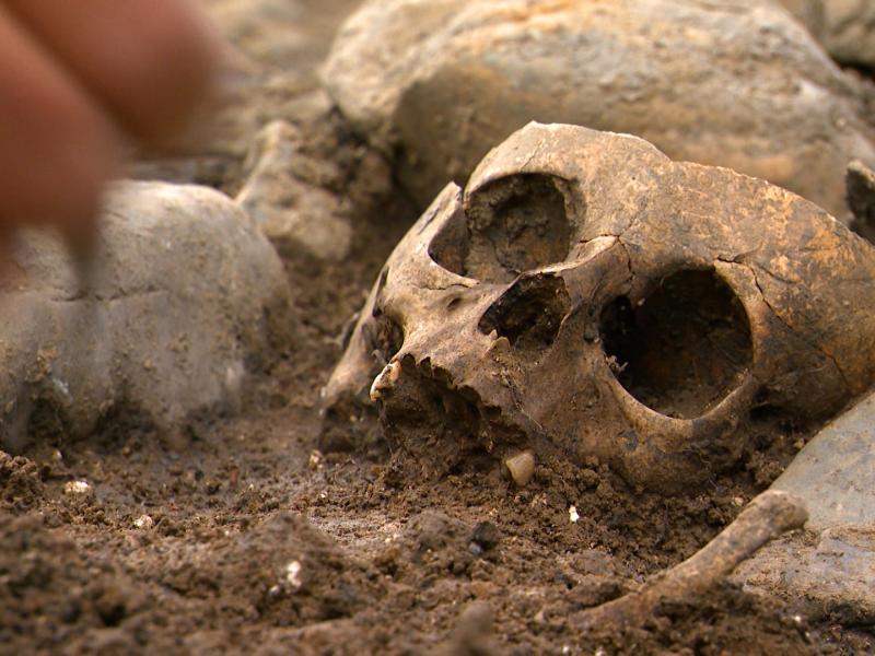 Herstal : des tombes profanées, des ossements volés !