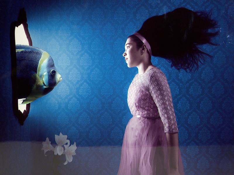ArtHouse: Immersion dans la photographie aquatique