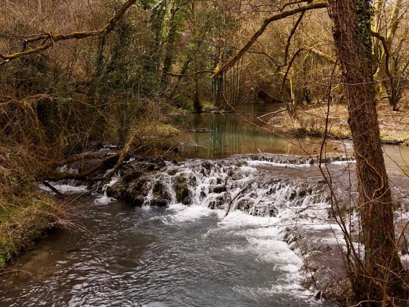 Journée mondiale de l'eau : découverte des mystères du Triffoy