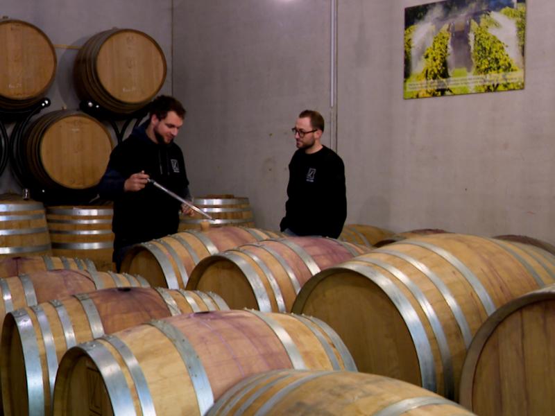 Les viticulteurs espèrent une meilleure saison