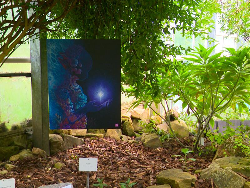 12 artistes exposent à l'Observatoire du Monde des Plantes