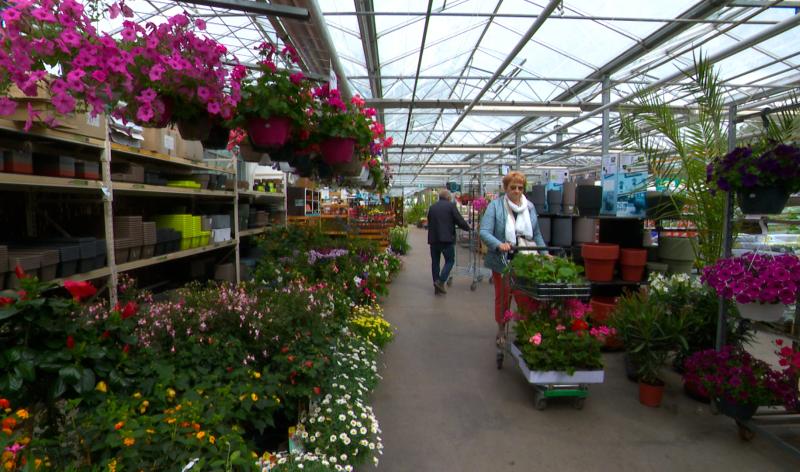 Horticulture : la saison bat son plein