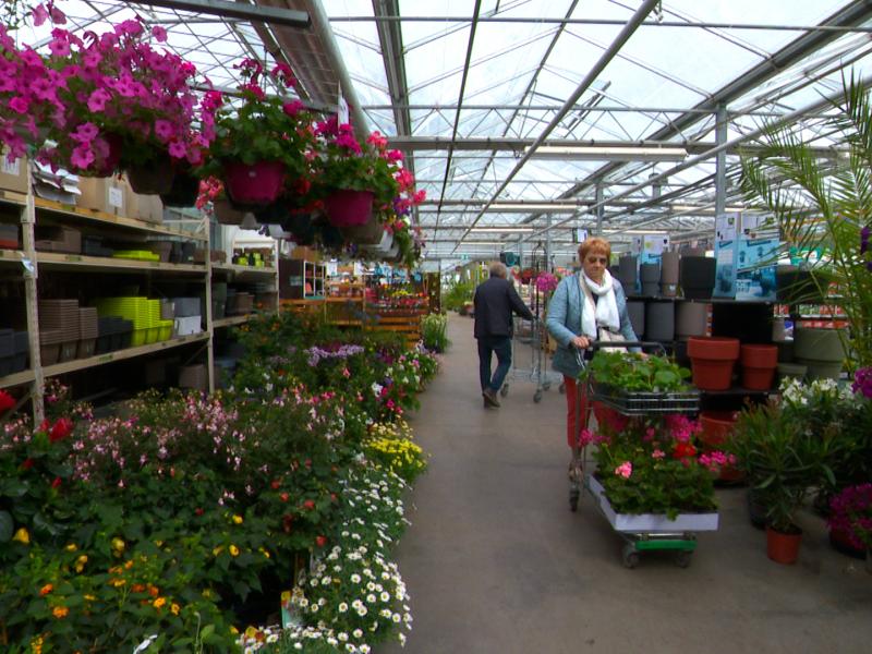 Horticulture : la saison bat son plein