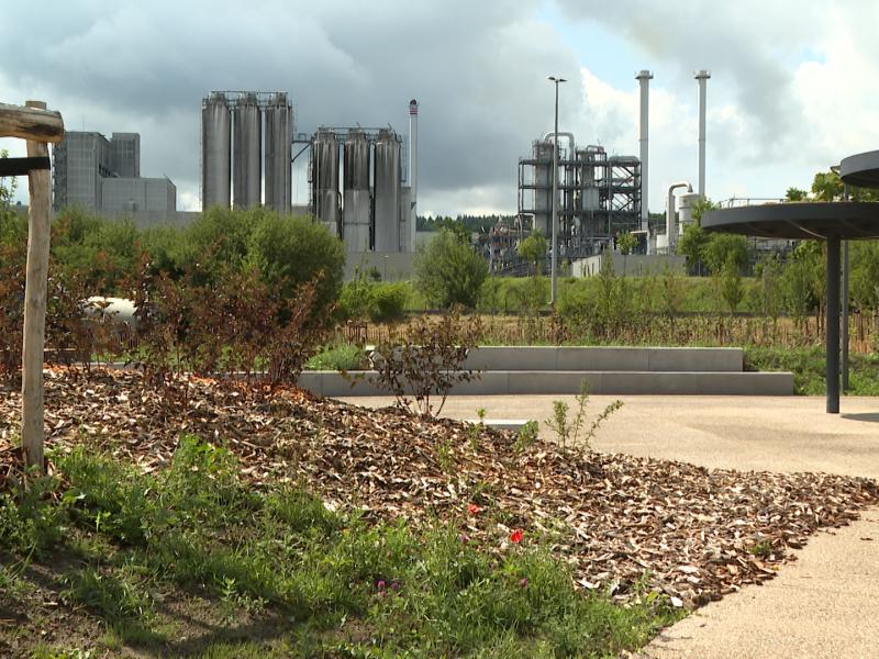Les Jardins de la Sucrerie: nouvel espace vert de Wanze
