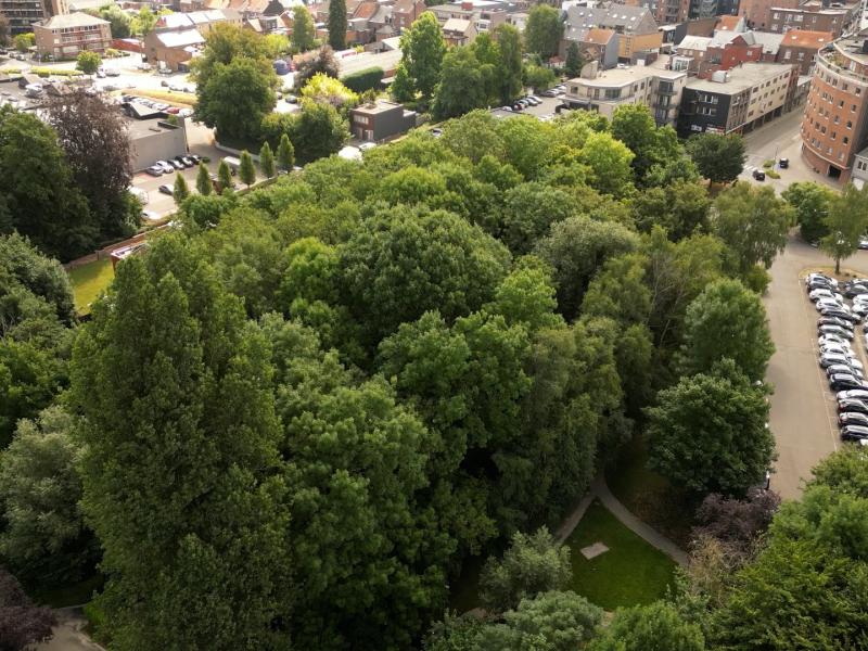 Le bois de la Tannerie racheté par la ville de Waremme