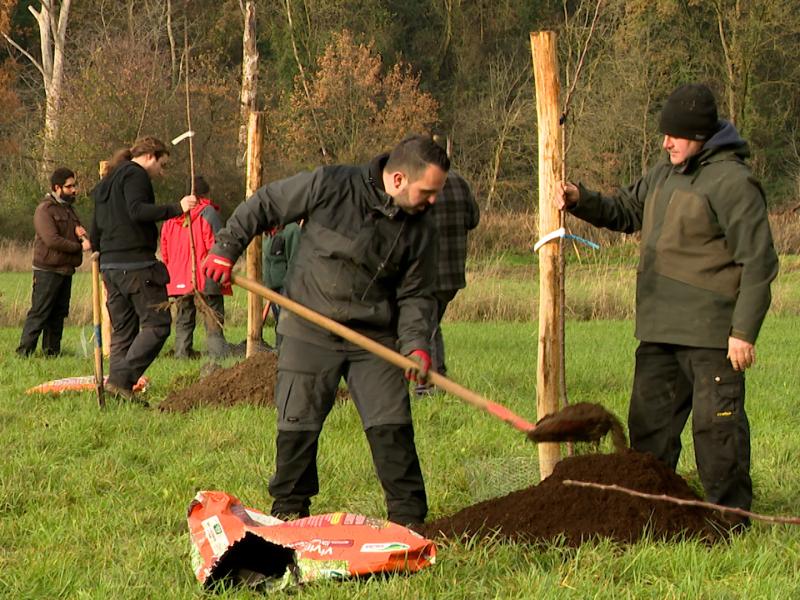 Vivegnis: Plantation d'un verger conservatoire à la réserve du Vivier