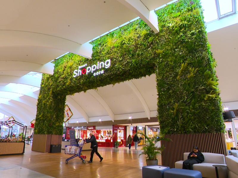Transformation du Shopping Cora