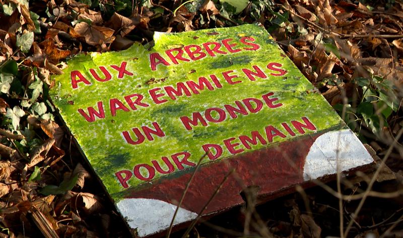 Des arbres abattus au Bois de la Tannerie, pour un moindre mal au final
