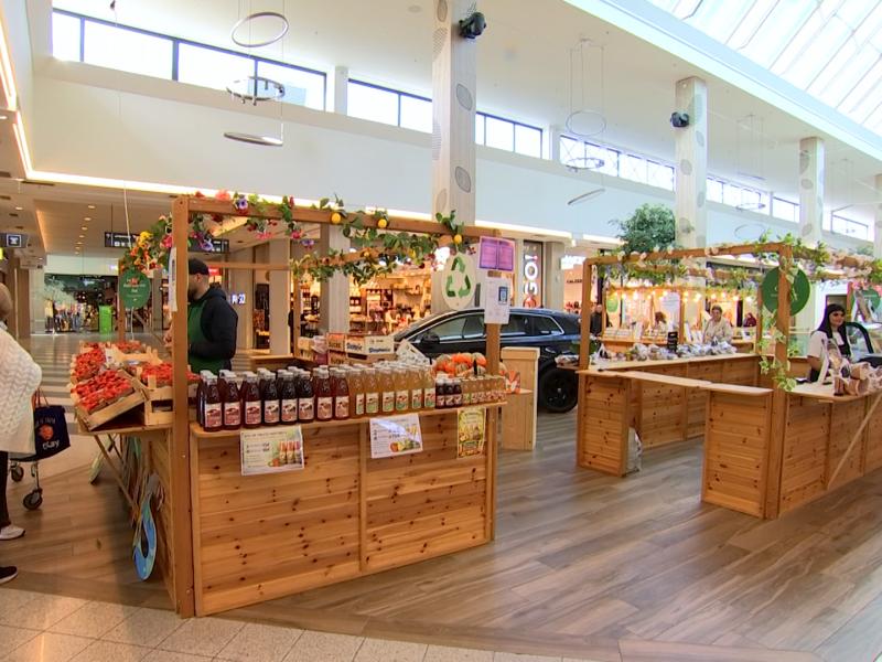 Les Eco Days au centre de l'attention à Belle-Île
