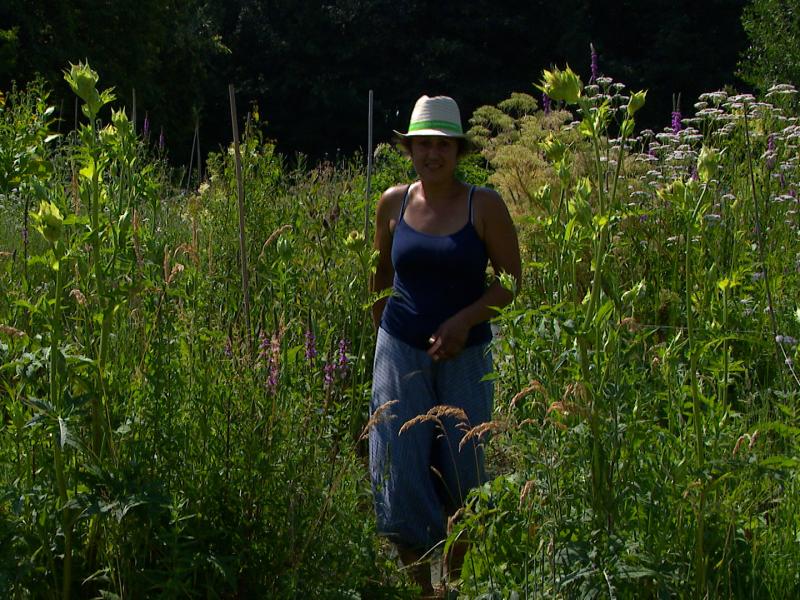 Journées Fermes Ouvertes : fleurs sauvages et jardin durable