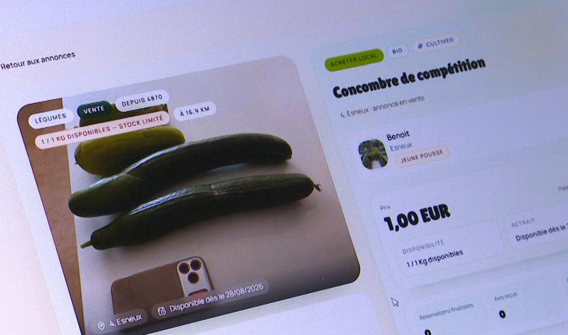 Cultiveo : une plateforme pour échanger le surplus de ses récoltes
