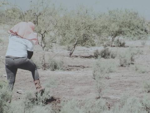 "Trésors", l'exposition de Zahara Gomez sur les disparitions forcées en Amérique latine 