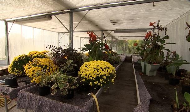 "Wallonie en fleurs" : la biodiversité, une priorité pour Visé, Waremme, Crisnée, Neupré et Oreye