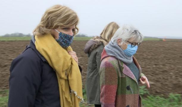 "Yes we plant" aide à la plantation de haies en Basse-Meuse