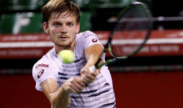 Goffin battu en finale à Tokyo