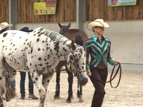 L'équitation western en vedette ce week-end à Awans