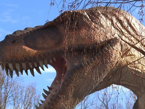Des dinosaures au Mont Mosan