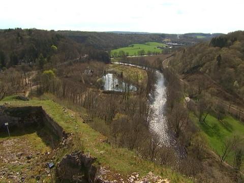 Découvertes multiples au château de Logne 