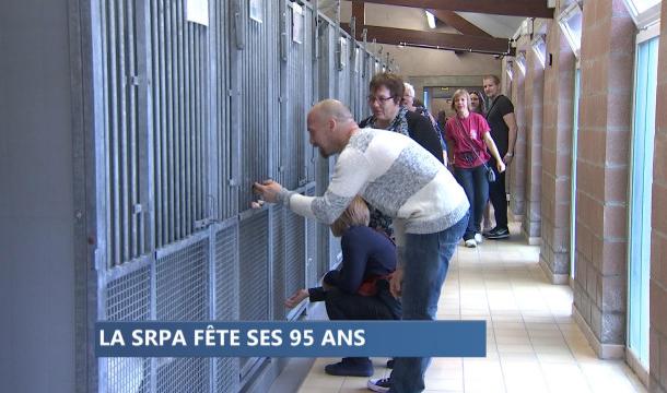 La Société Royale Protectrice des Animaux fête ses 95 ans