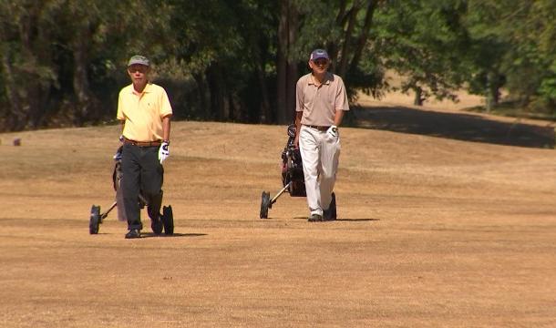 Golf de Bernalmont : composer avec la canicule et la sècheresse
