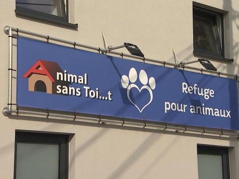 Nouveau bâtiment pour Animal sans Toi...t