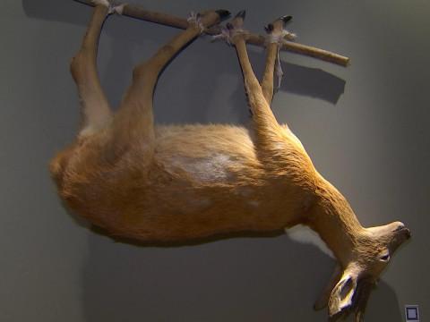 Le Préhistomuseum et l'archéologie de la gastronomie