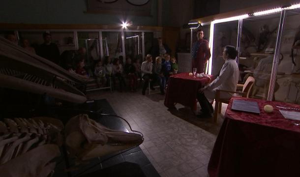 Une nuit au musée, toujours appréciée 