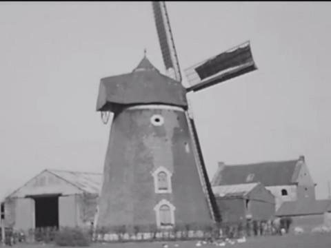 Donceel : un moulin à vent en péril