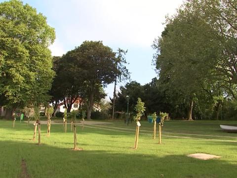 Hannut: un nouveau cachet pour le Parc de la Galette
