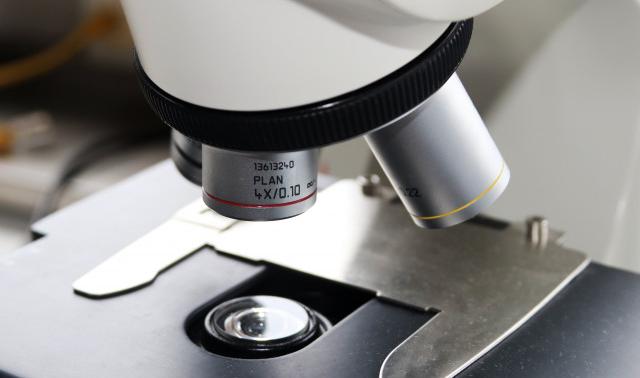 Une molécule naturelle pour venir soutenir un traitement contre le cancer du colon (ULiege)