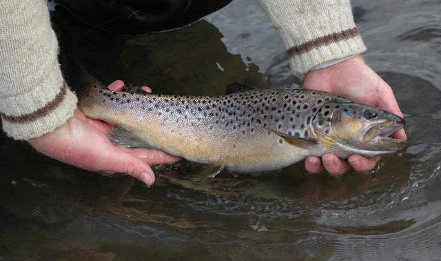 Pas d'ouverture de la pêche ce 21 mars 
