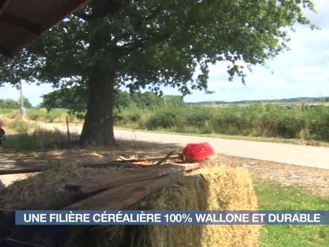 Clavier : Une filière céréalière 100% wallonne et durable 