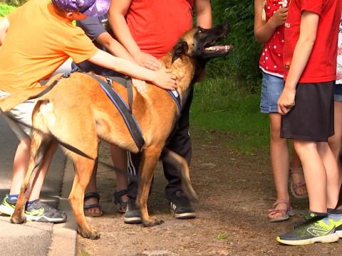 Action de sensibilisation dans les écoles sur la thématique canine