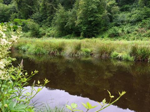 Disparition dans l'Ourthe à Sy : le corps du trentenaire n'a pas été retrouvé