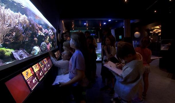 Un stage à la découverte des créatures EXTRAordinaires