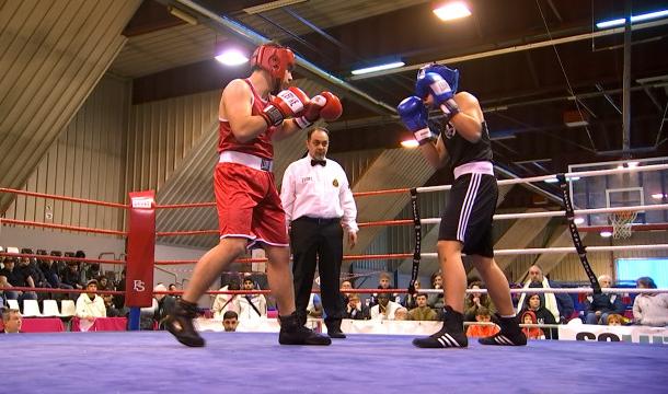 Boxe : des jeunes s'affirment sur un ring liégeois