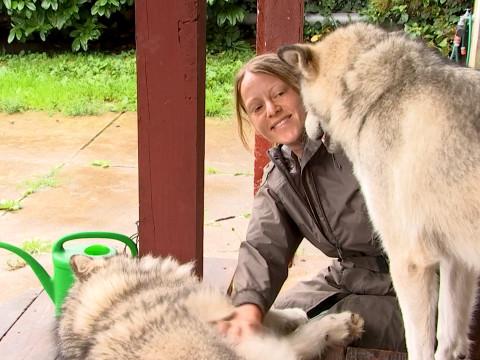 Pet Sitter, le gardiennage qui a du chien !