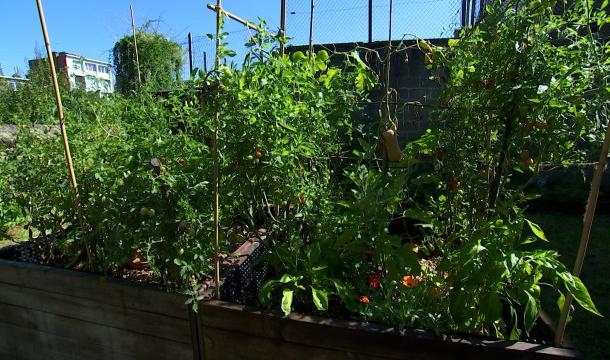 Un nouveau jardin communautaire à Kinkempois