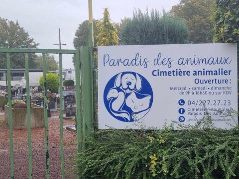 À Liège les animaux ont aussi leur cimetière 