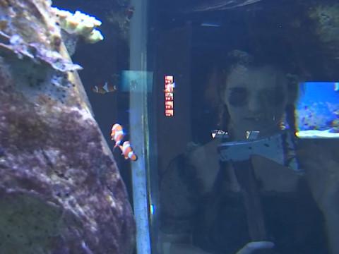 L'aquarium revêt son plus beau déguisement pour Halloween