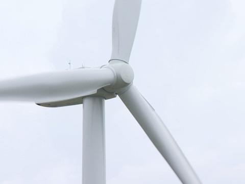 Vent: les parcs et les cimetières liégeois fermés ce lundi matin