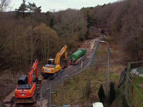 Le chantier Elia à Seraing est arrêté : en cause, le saccage de la biodiversité