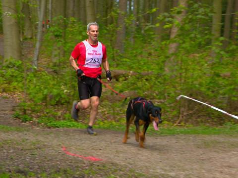 Le canicross: la discipline qui booste le cardio et les chiens