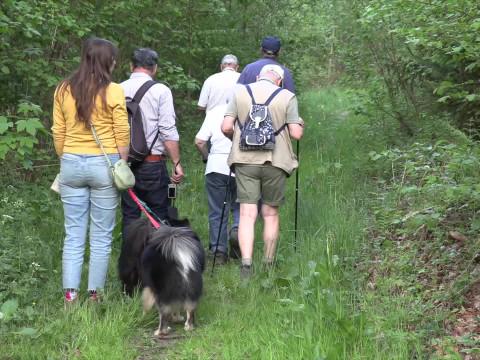 Plusieurs forêts et espaces verts fermés en Wallonie en raison des intempéries