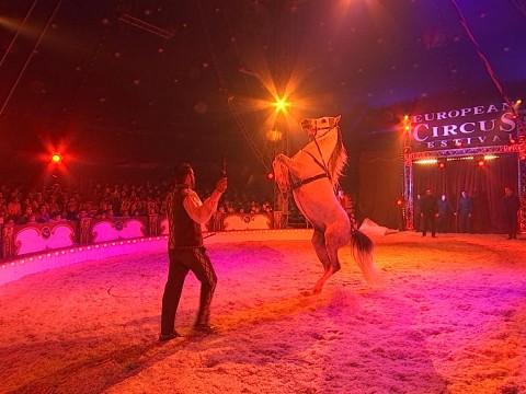 27ème Festival européen du Cirque
