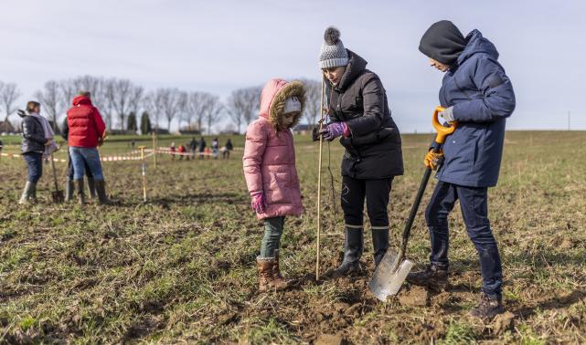 3500 arbres plantés en une journée à Crisnée 