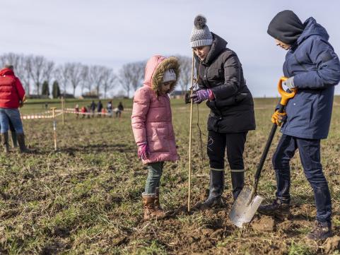 3500 arbres plantés en une journée à Crisnée 